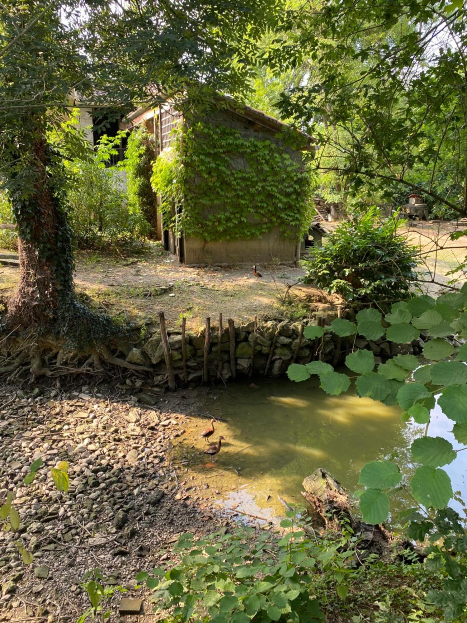 La Seigneurie De Tillac Kültér fotó